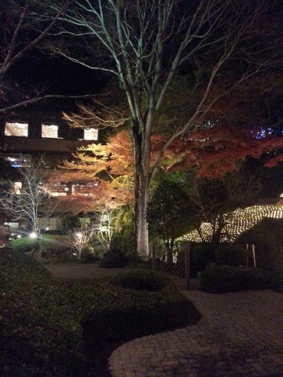 ④城山観光ホテルイルミネーションでライトアップされた木を撮影したけどパッとしない